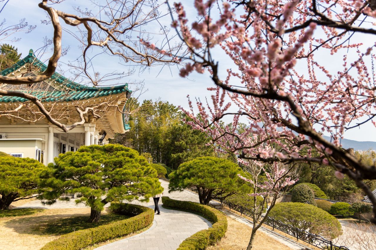매화명소 (동래구)