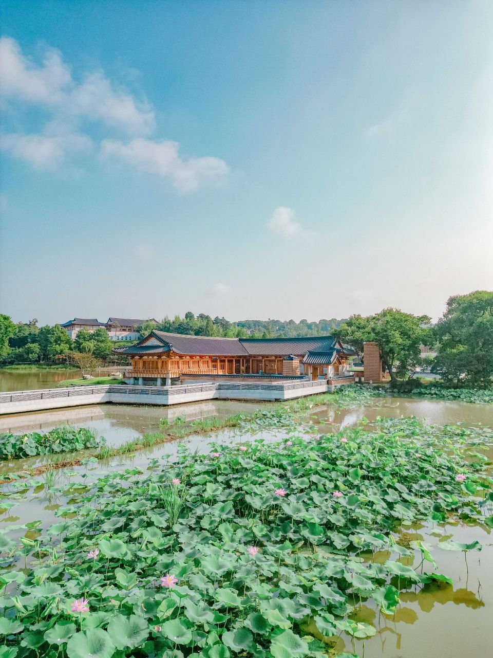 덕진공원
