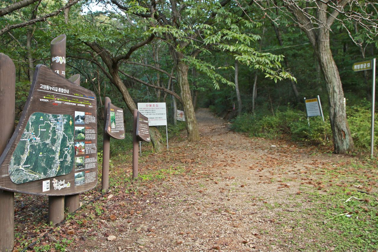 최영장군묘