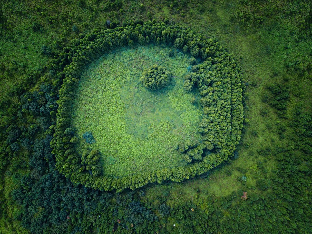 from the earth