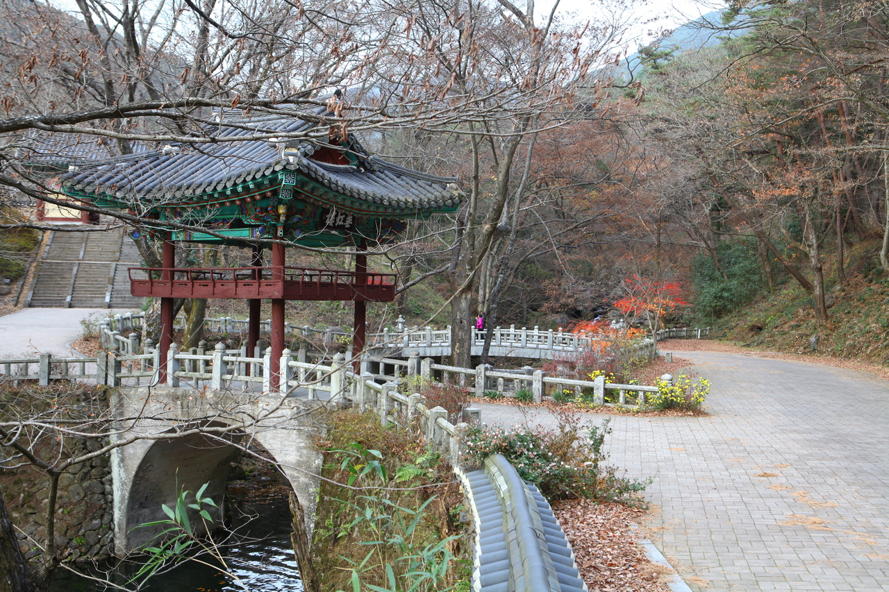 천은사