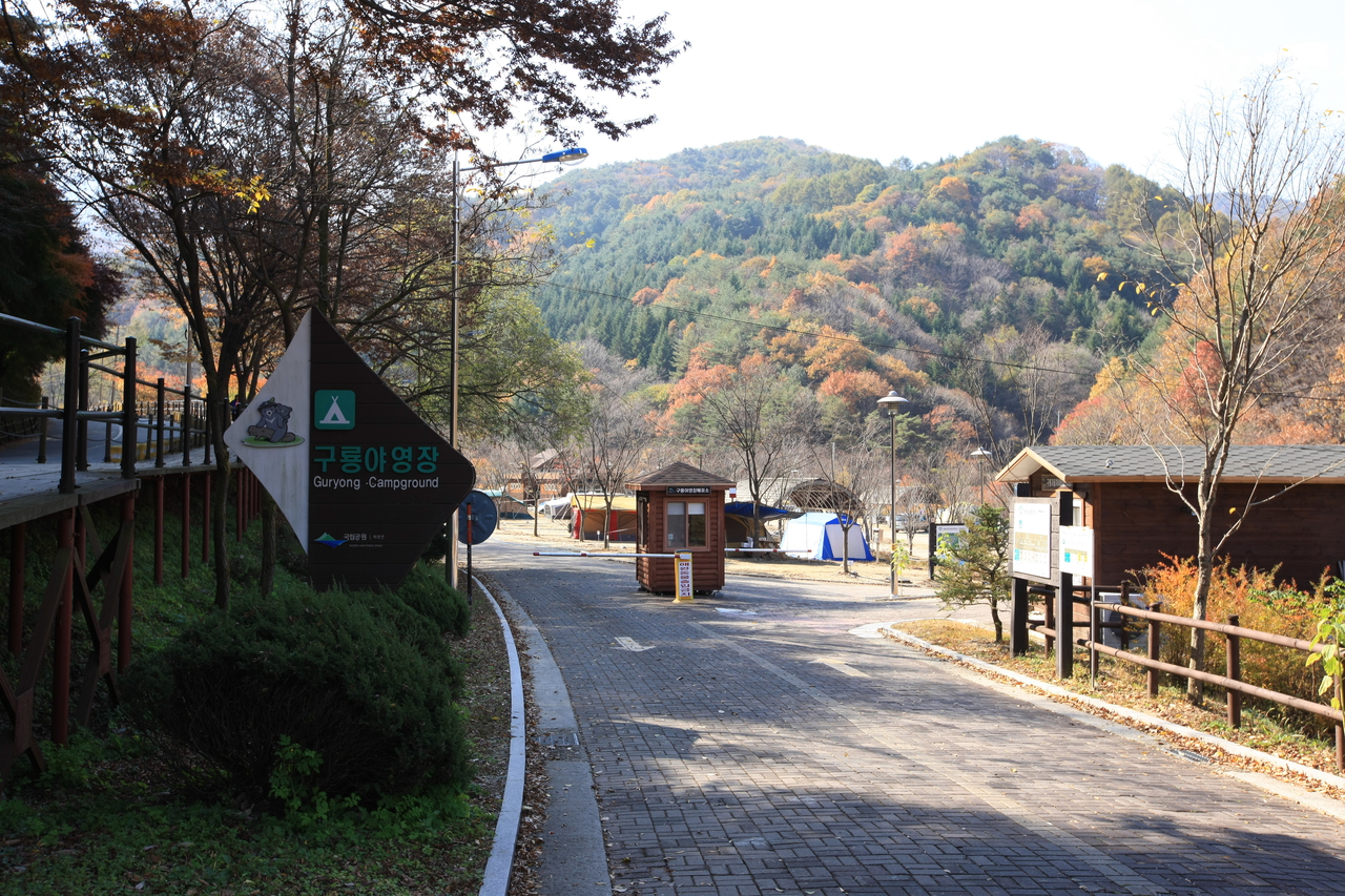 구룡야영장