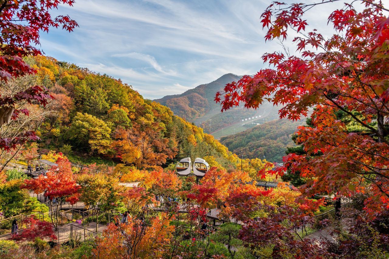 붉게 물든 화담숲