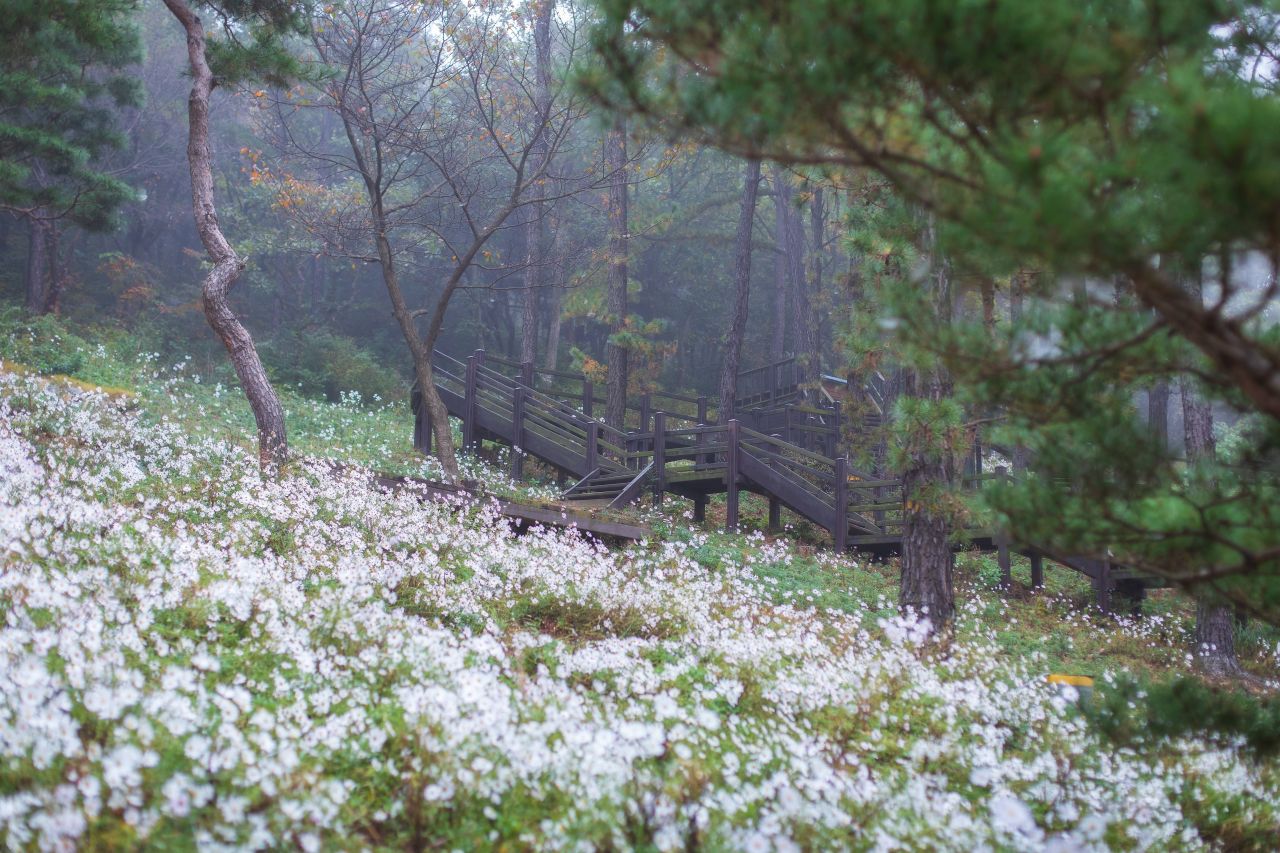 율곡수목원