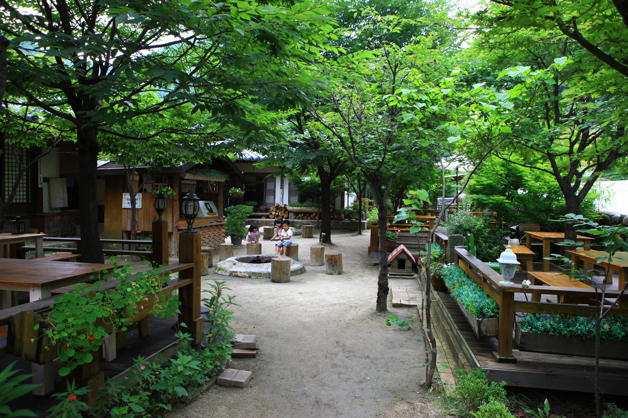 민들레 카페