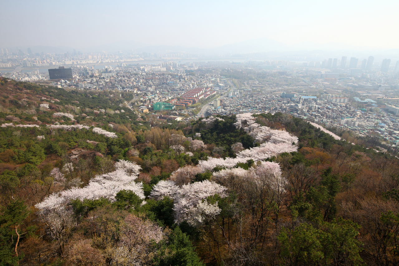 남산공원