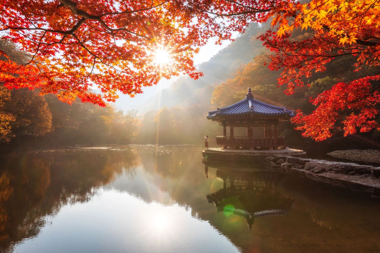 우화정의 아침