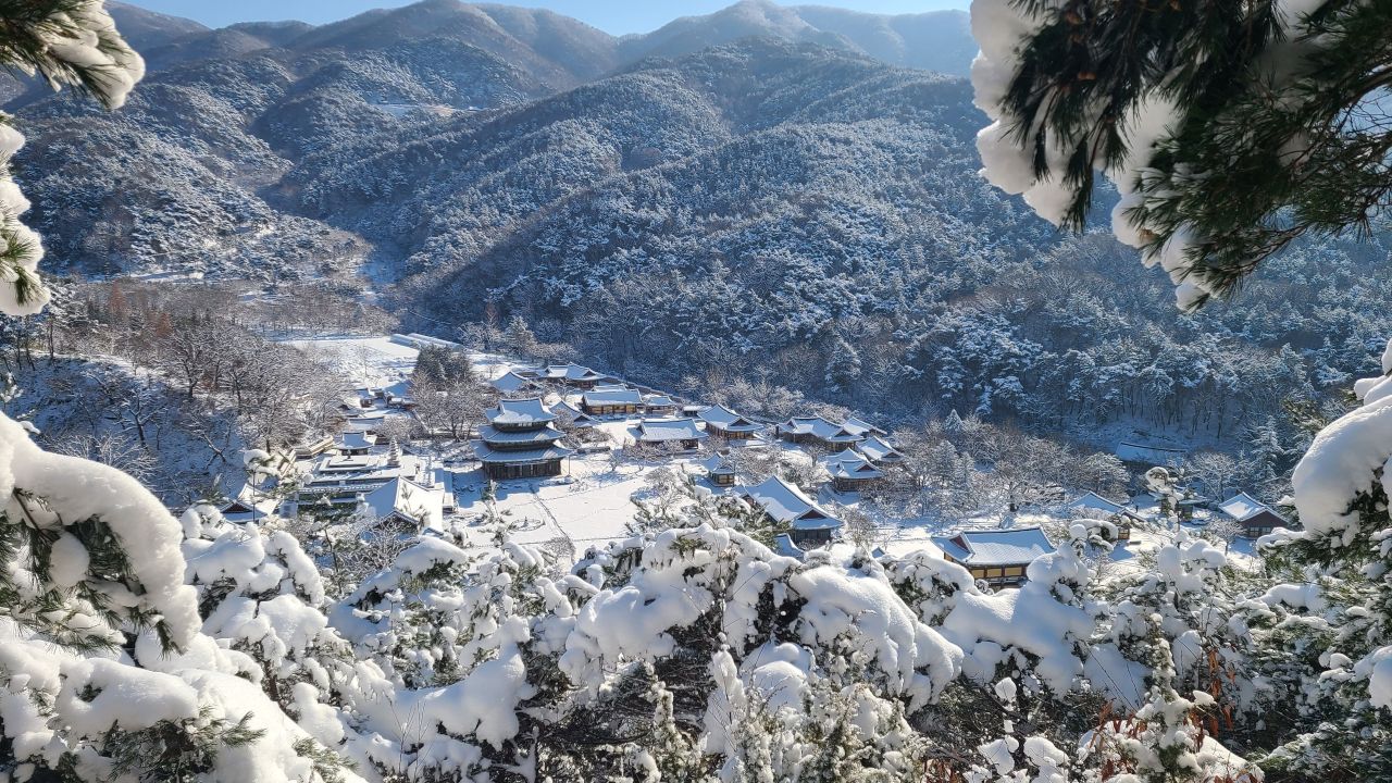 금산사 설경