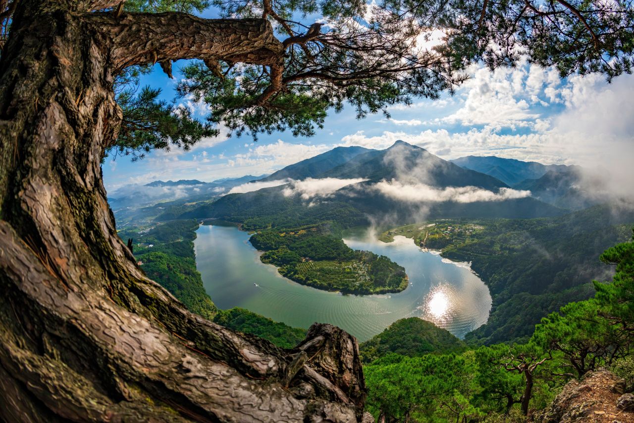 한반도의아침