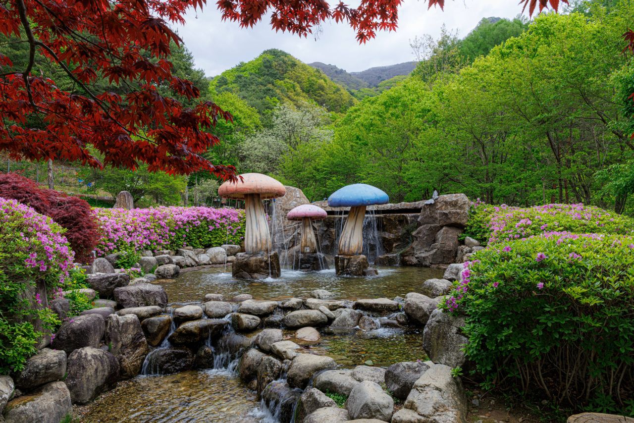 양구수목원