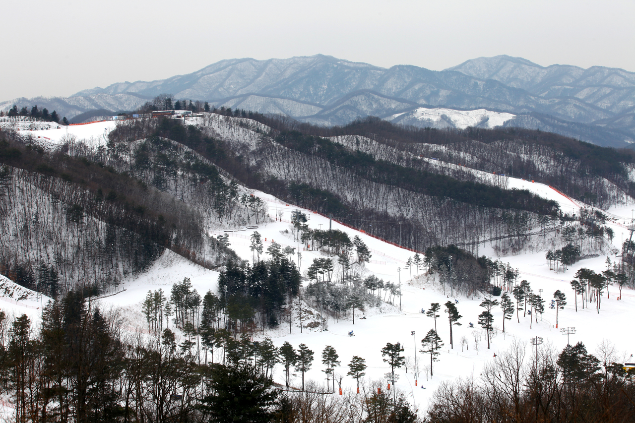 오크밸리스키장
