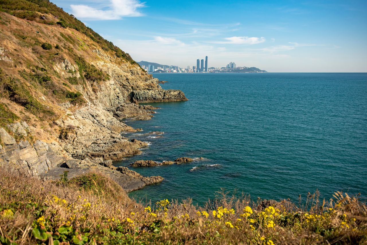 오륙도 (2020)
