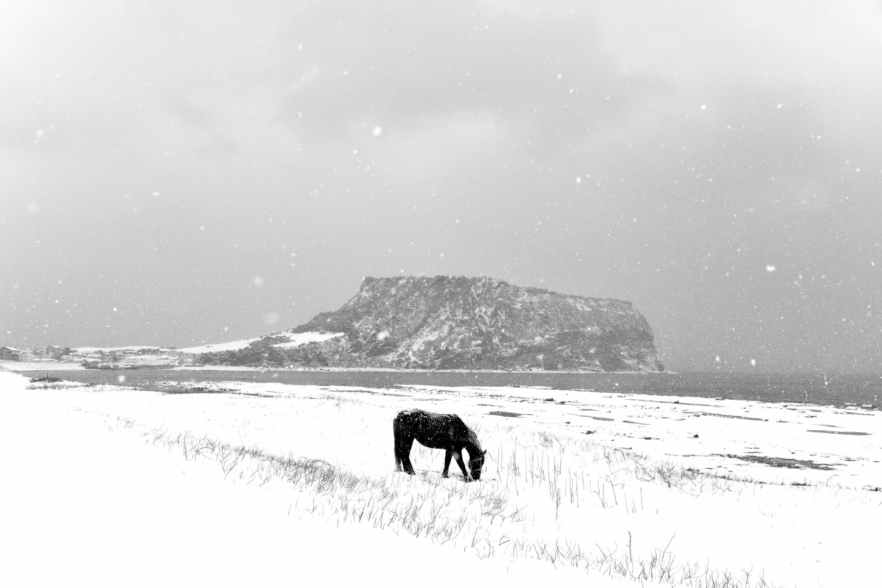 성산 일출봉의 겨울