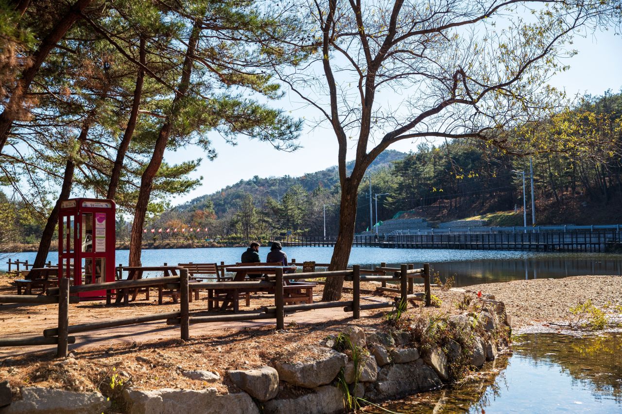 천마산 편백산림욕장