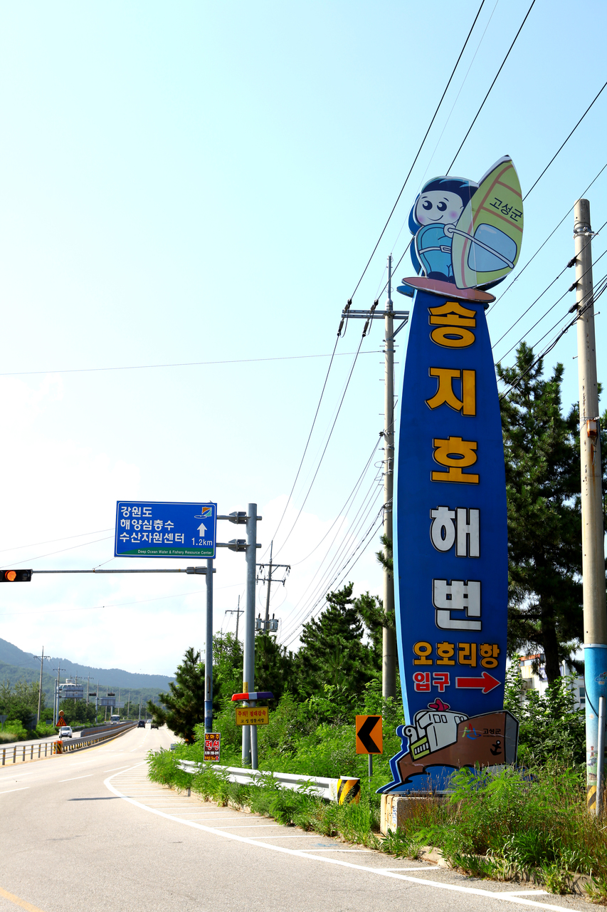 송지호해수욕장