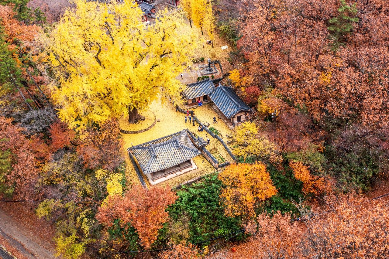 운곡서원의 가을