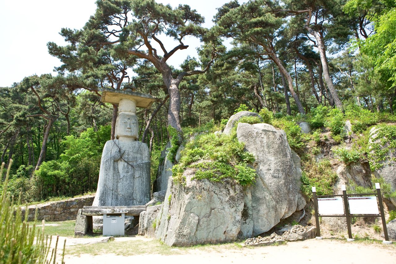 대조사