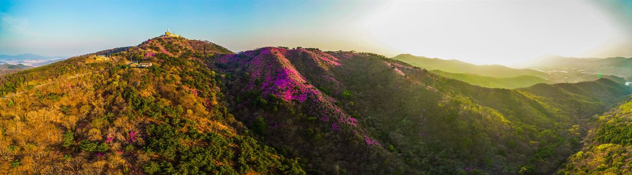 고려산