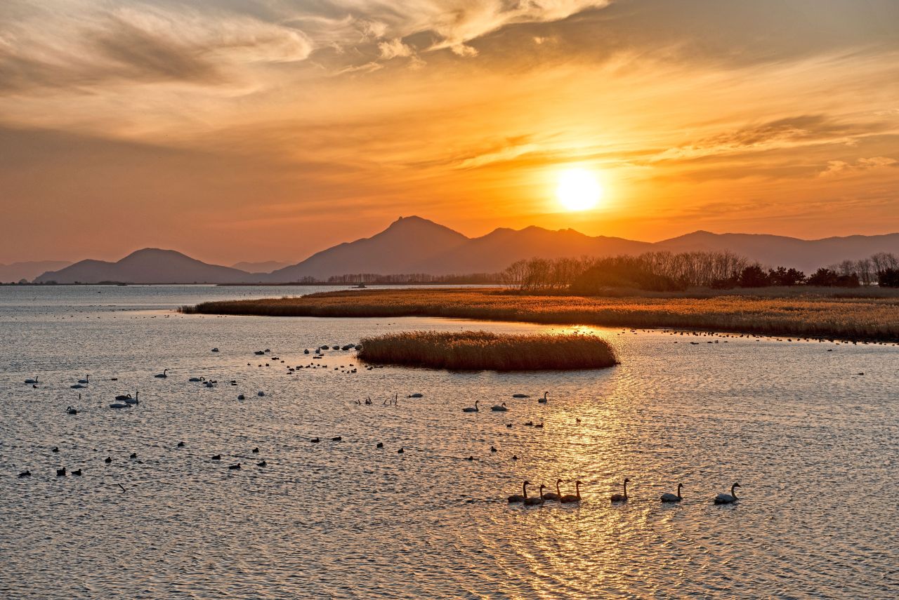 을숙도 (2019)
