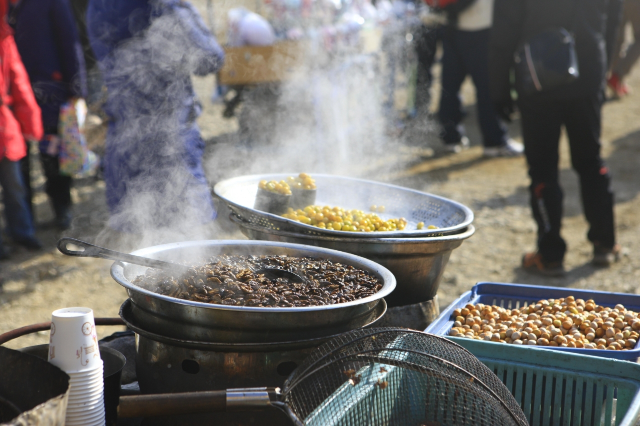 인제 빙어축제