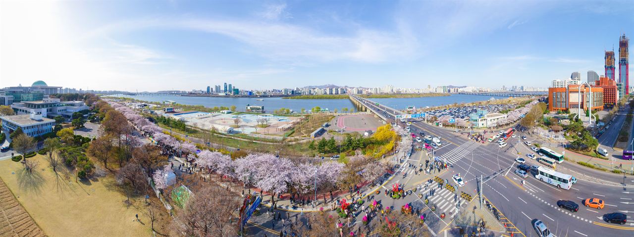 2019 영등포 여의도 봄꽃축제