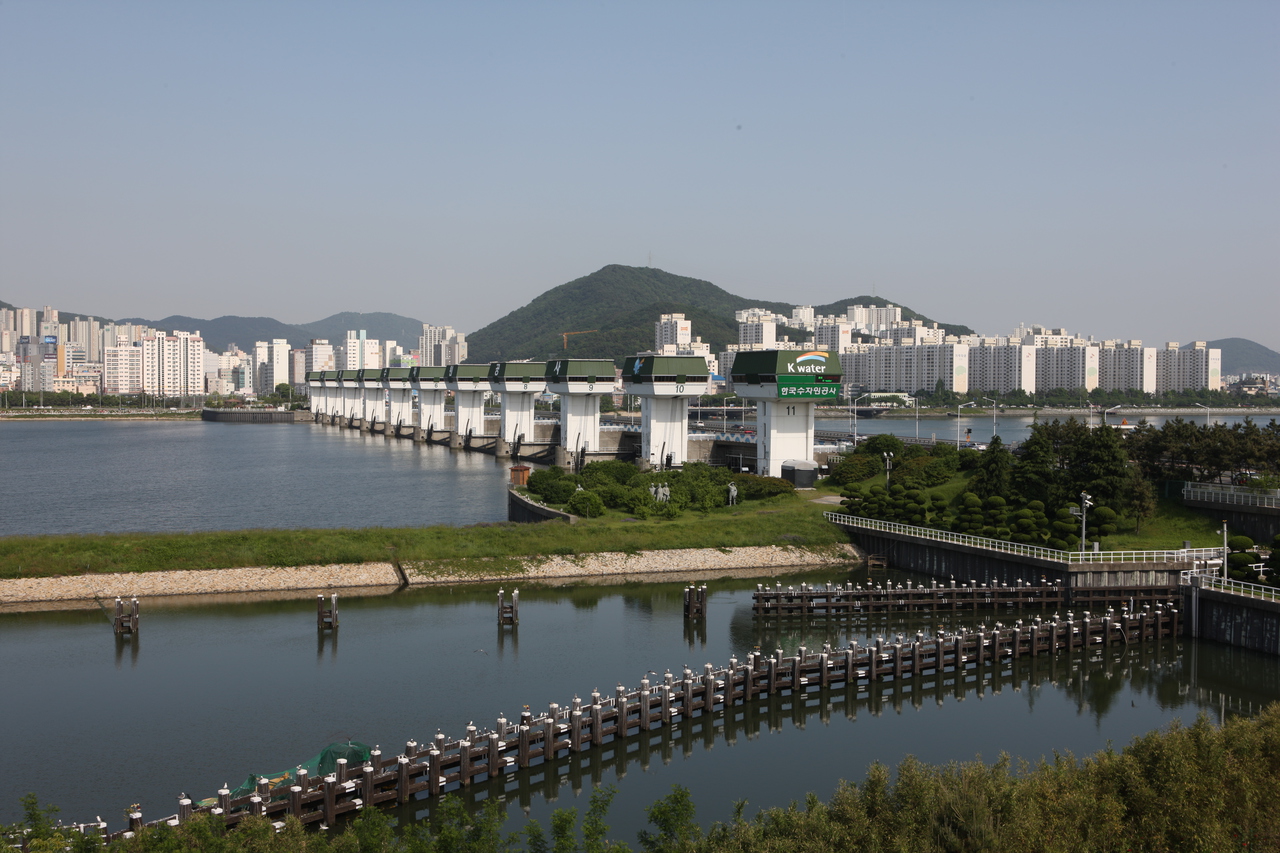 낙동강하구