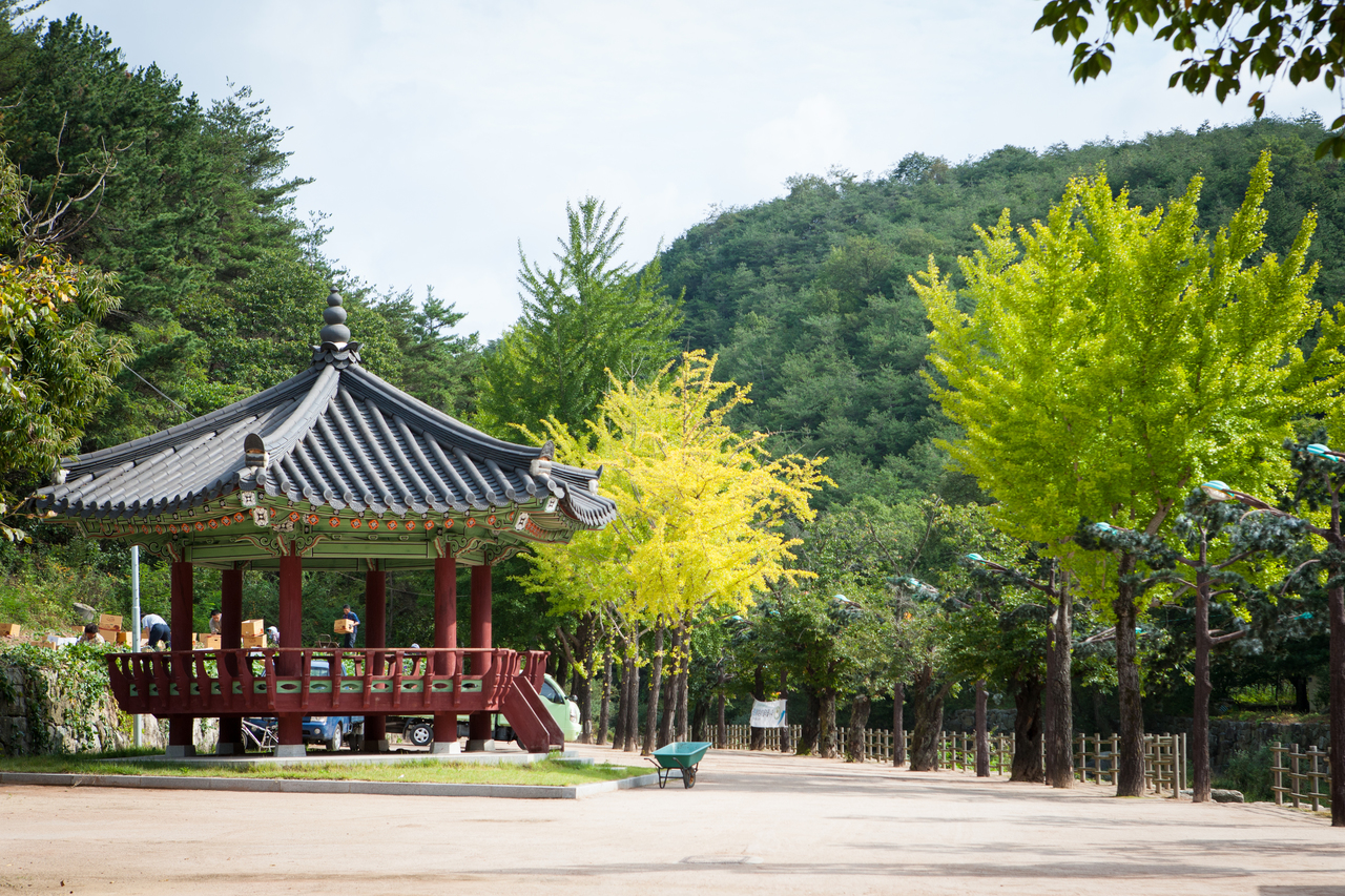 석천정사