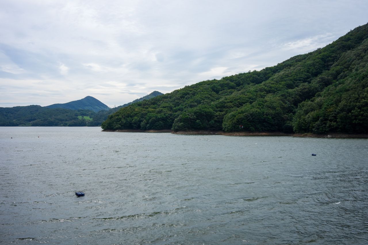보령호