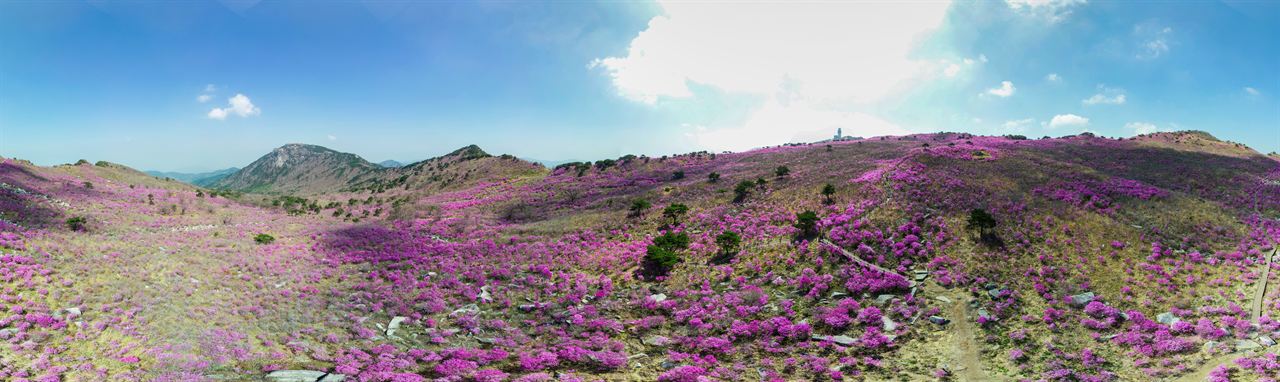비슬산