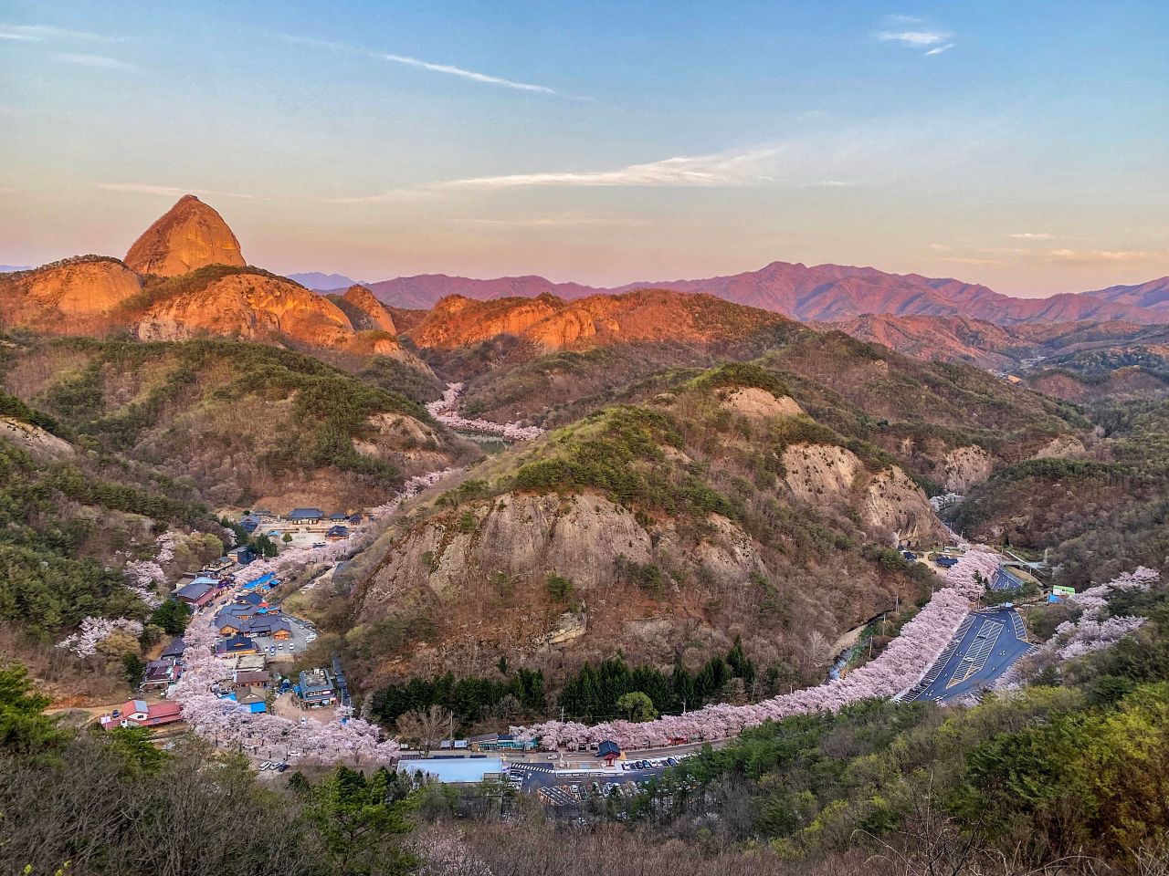 마이산 십리벚꽃길