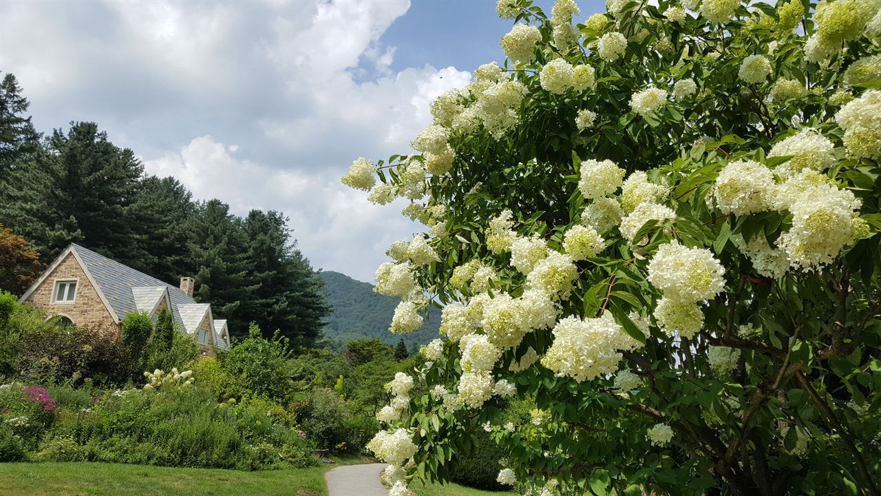 아침고요수목원