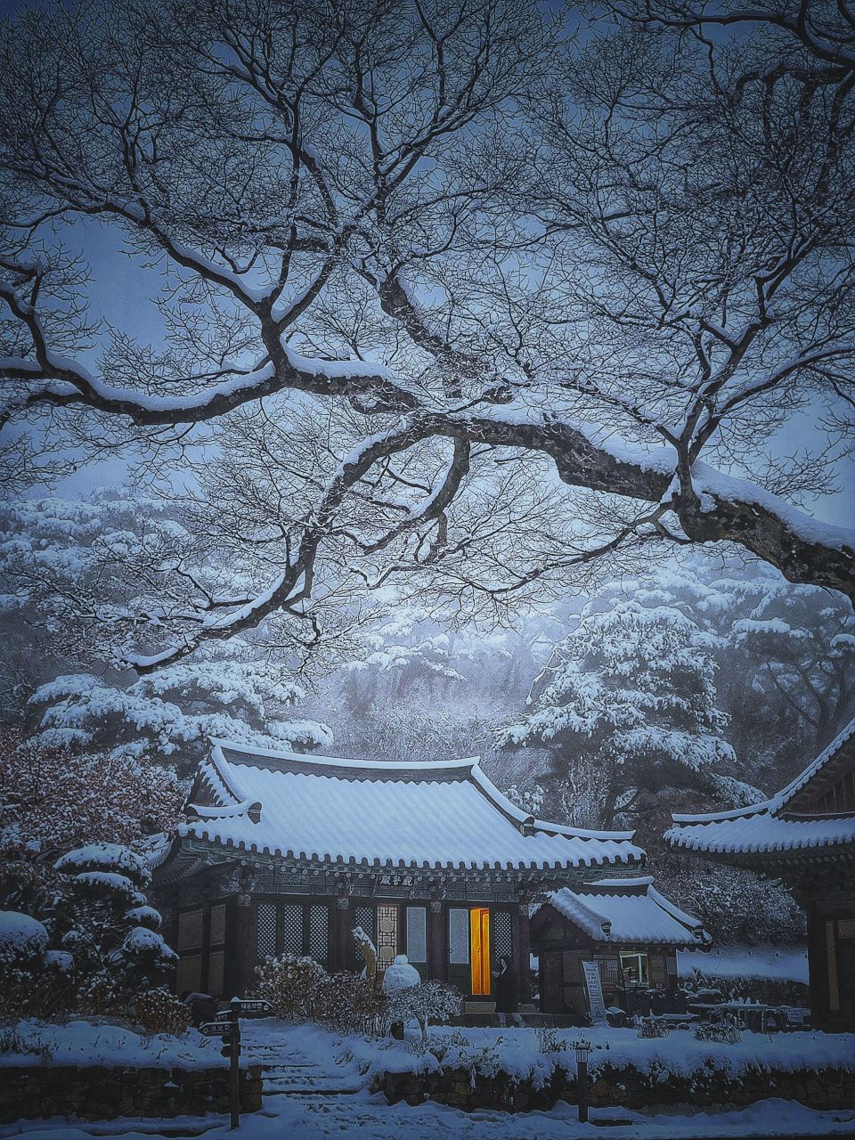 산사의 설야
