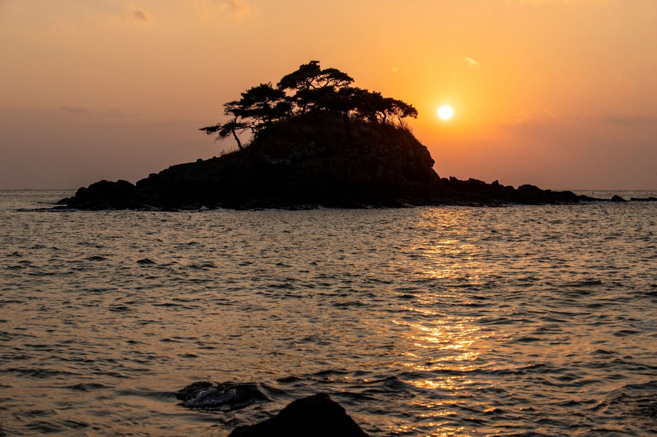 부안 솔섬