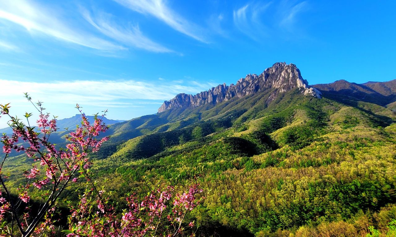 울산바위의 봄