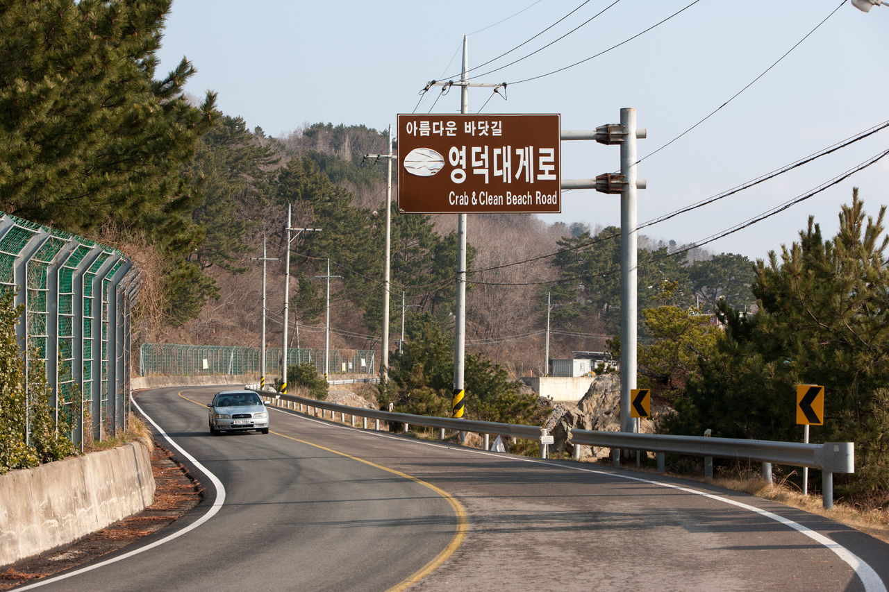 영덕 대게로