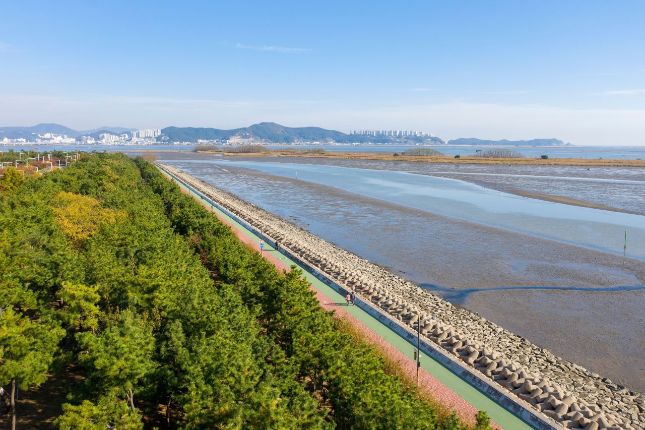 송림길
