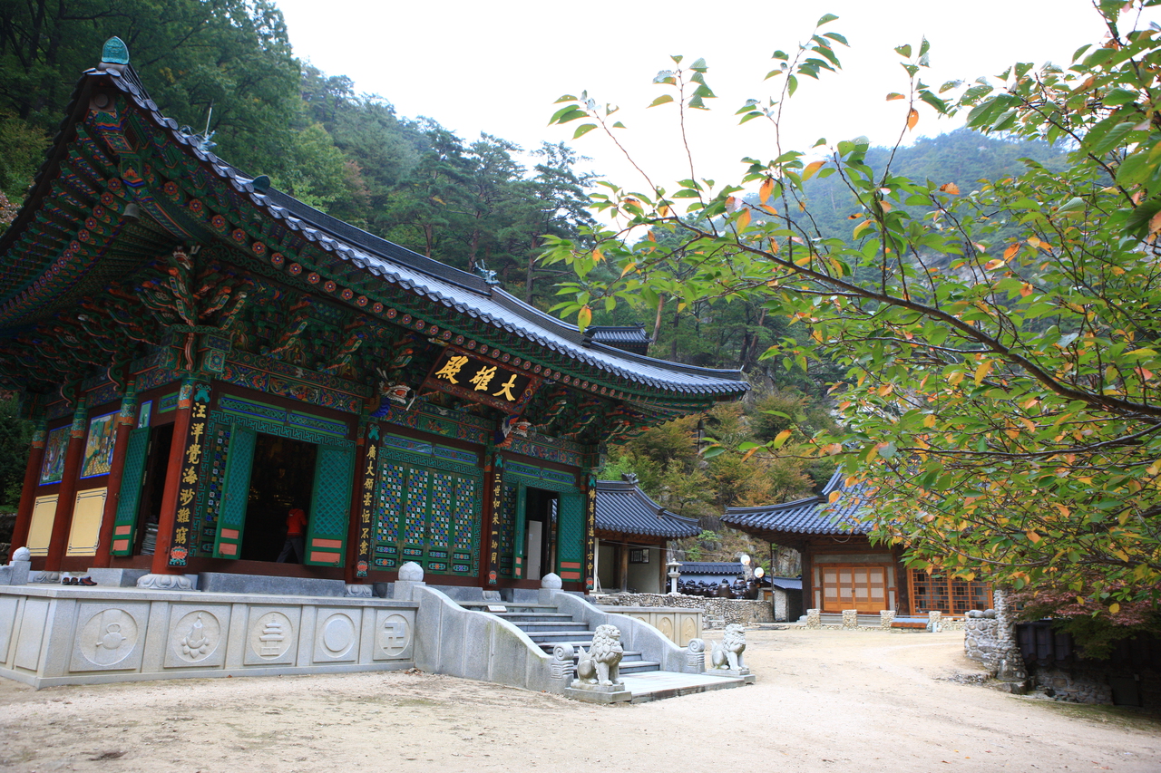 금강사