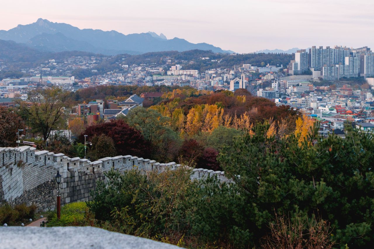 마로니에공원
