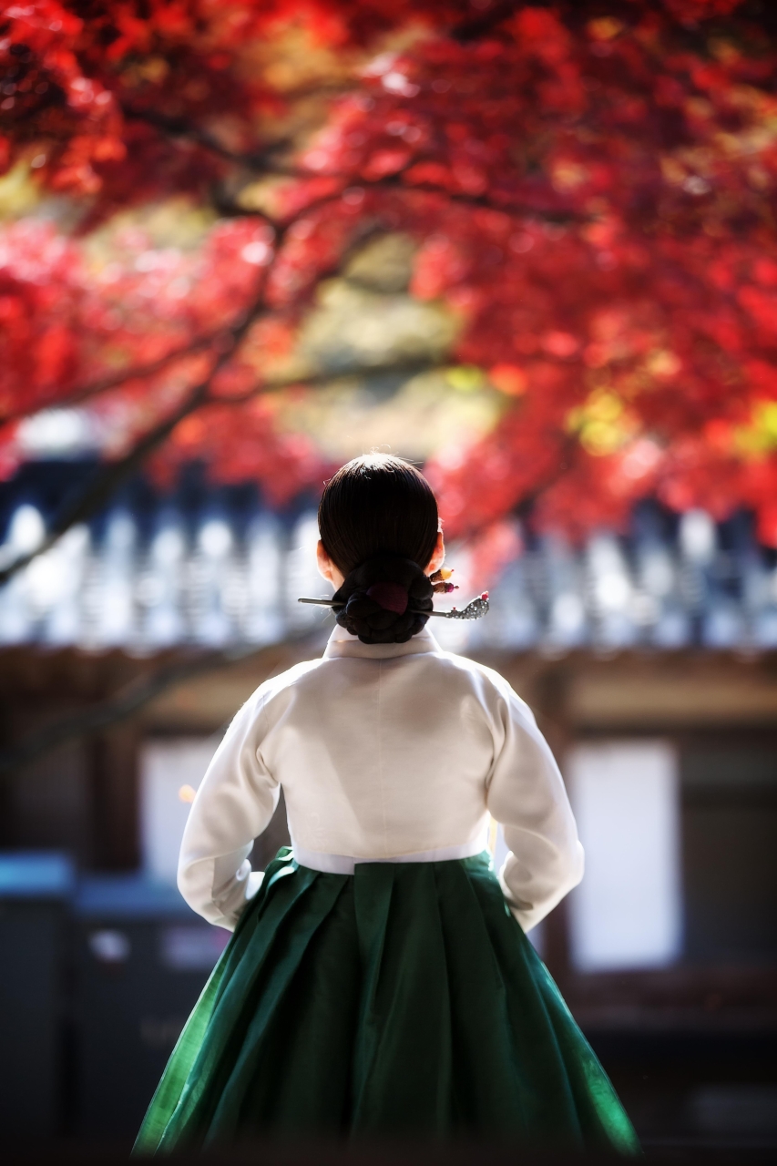 후원의 아씨