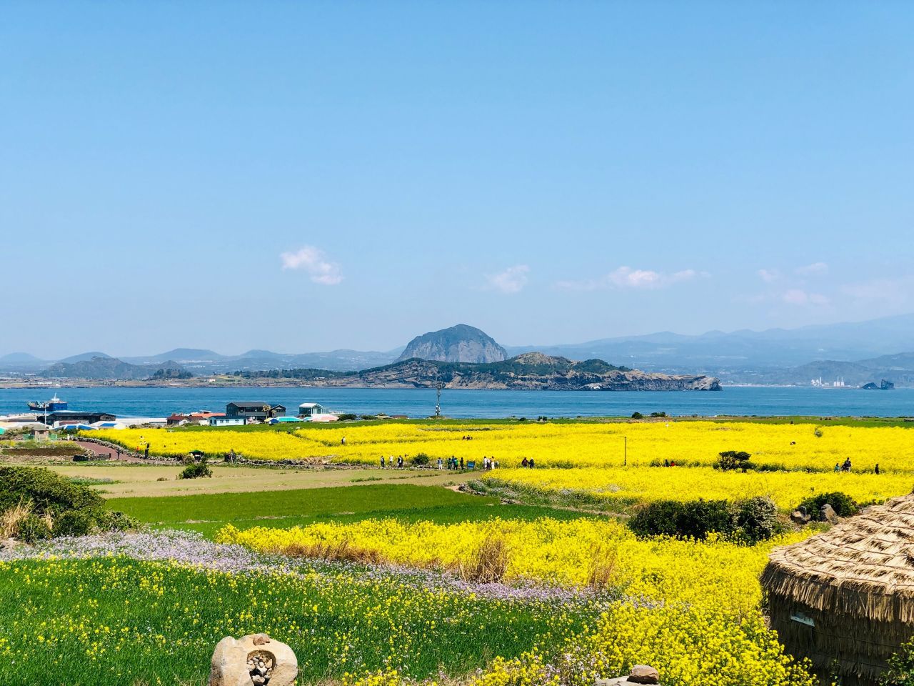 산방산 품은 가파도의 봄