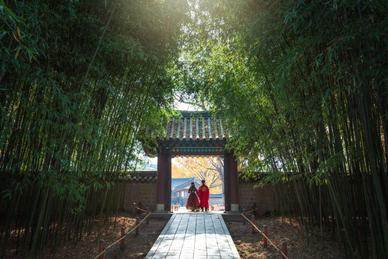 죽림(竹林) 속으로