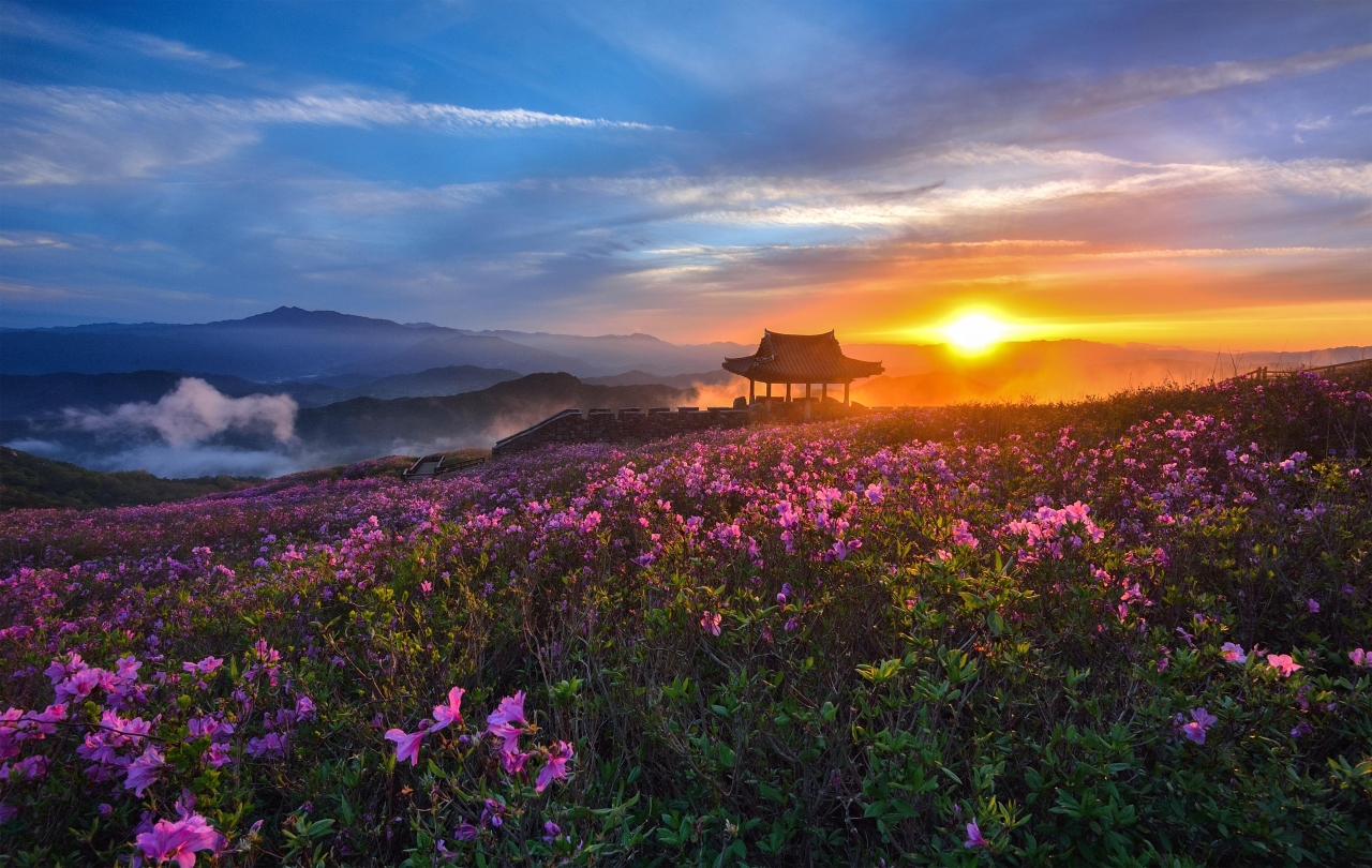황매산의 노을