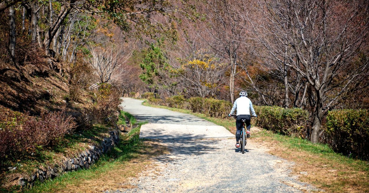 산악자전거체험