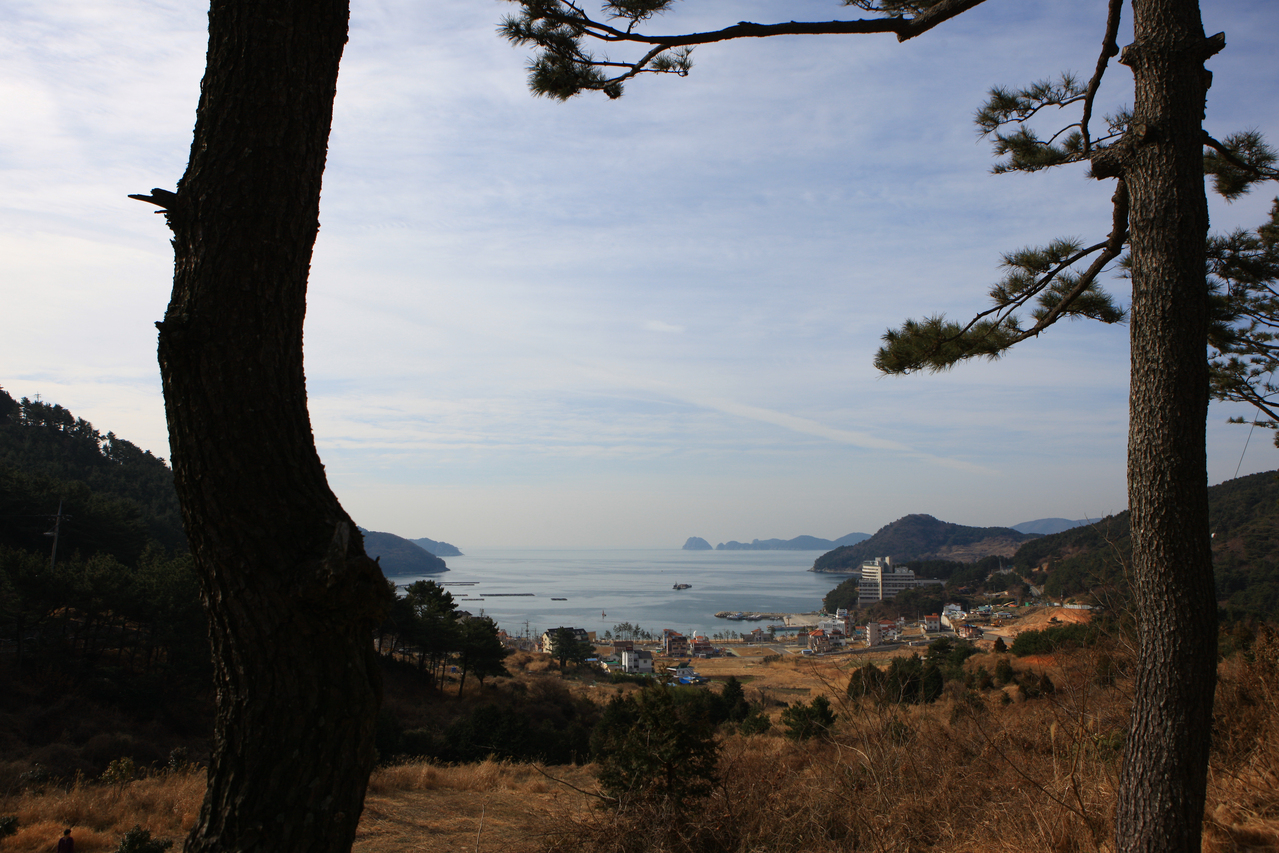 와현모래숲해변